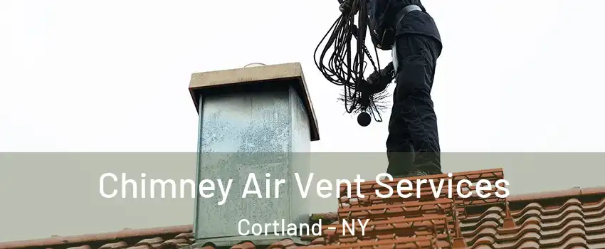 Chimney Air Vent Services Cortland - NY