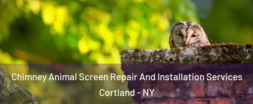  Chimney Animal Screen Repair And Installation Services Cortland - NY