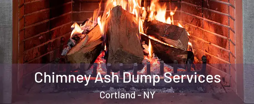  Chimney Ash Dump Services Cortland - NY