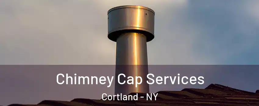 Chimney Cap Services Cortland - NY