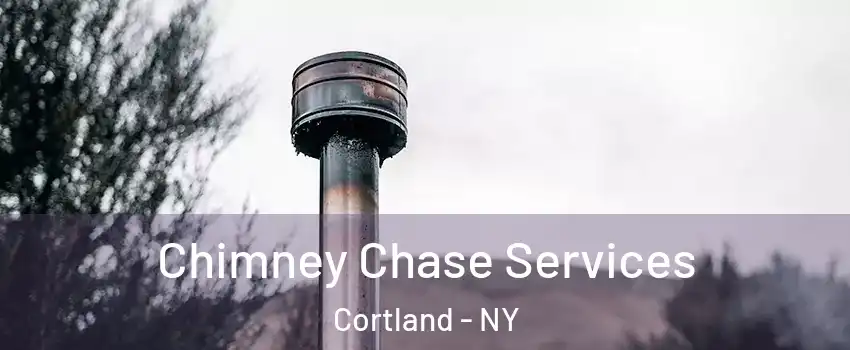  Chimney Chase Services Cortland - NY