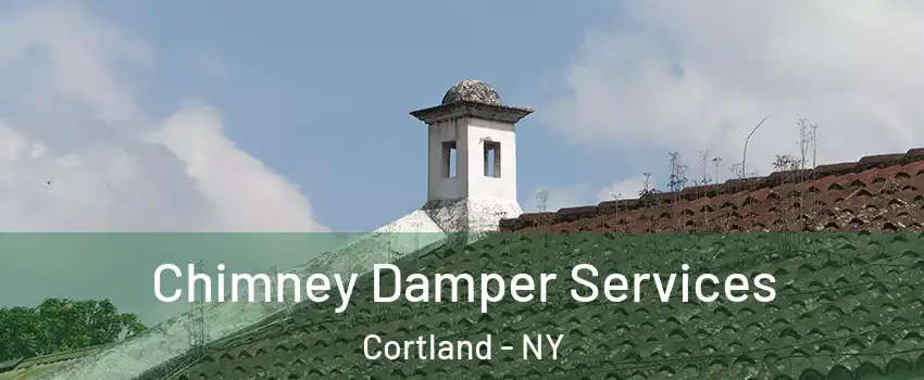  Chimney Damper Services Cortland - NY