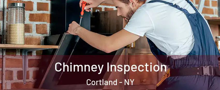  Chimney Inspection Cortland - NY