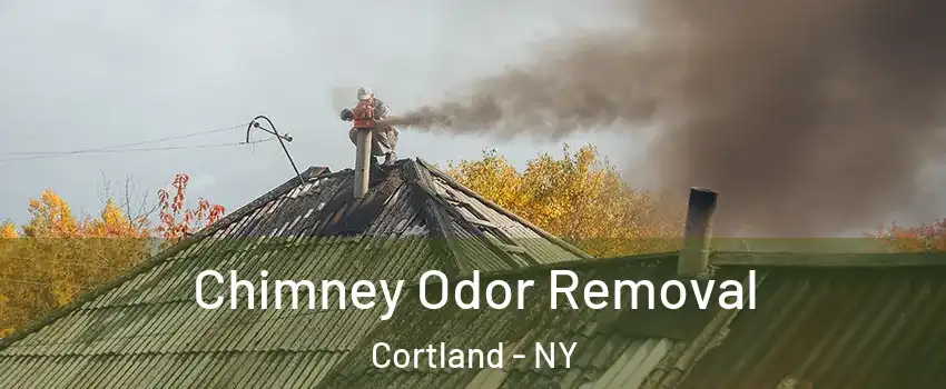  Chimney Odor Removal Cortland - NY