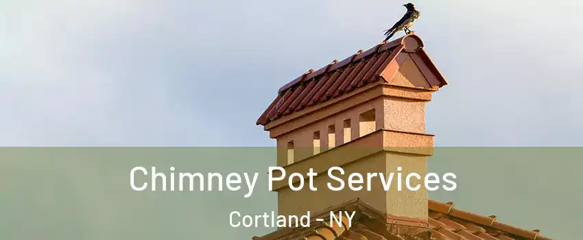  Chimney Pot Services Cortland - NY