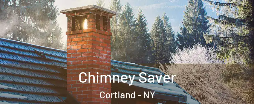  Chimney Saver Cortland - NY