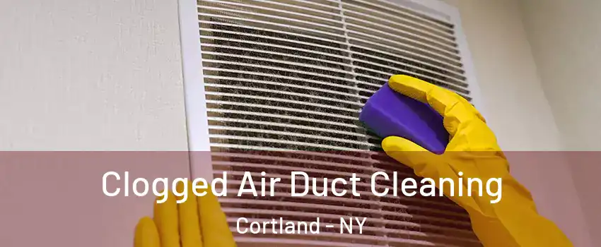  Clogged Air Duct Cleaning Cortland - NY