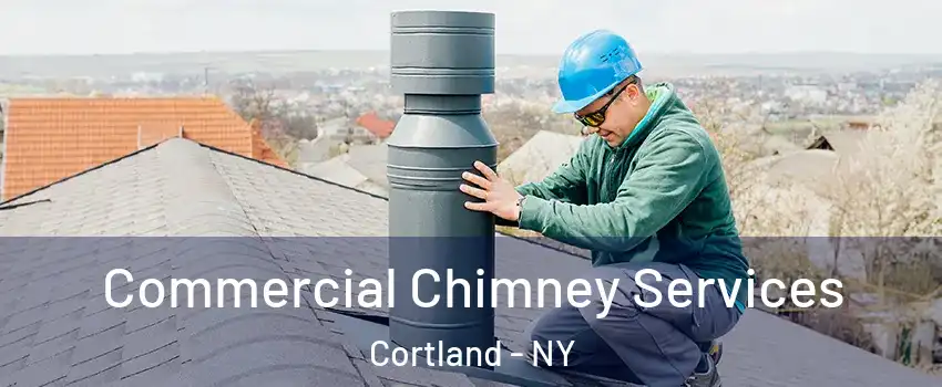  Commercial Chimney Services Cortland - NY