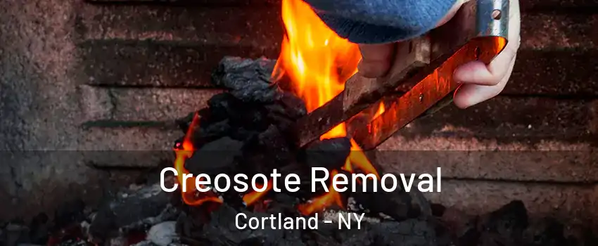  Creosote Removal Cortland - NY