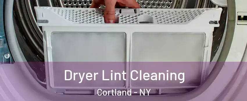 Dryer Lint Cleaning Cortland - NY
