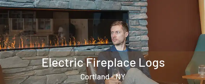  Electric Fireplace Logs Cortland - NY
