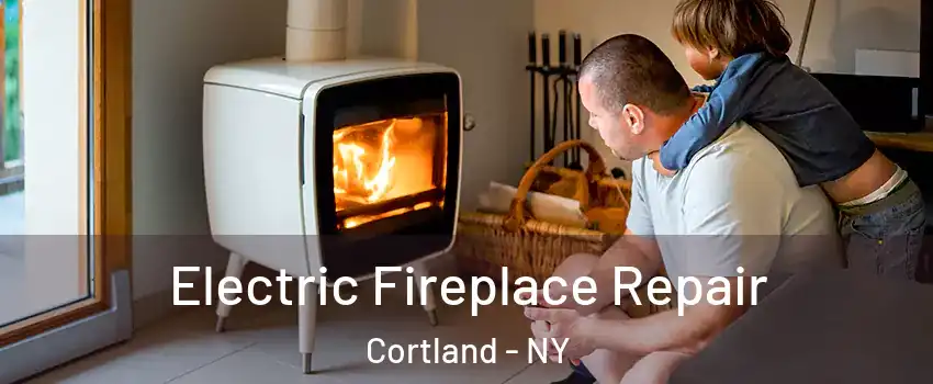  Electric Fireplace Repair Cortland - NY