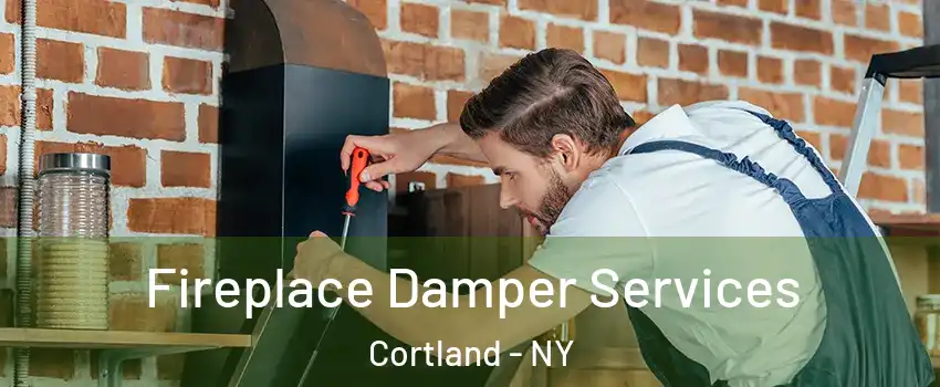  Fireplace Damper Services Cortland - NY