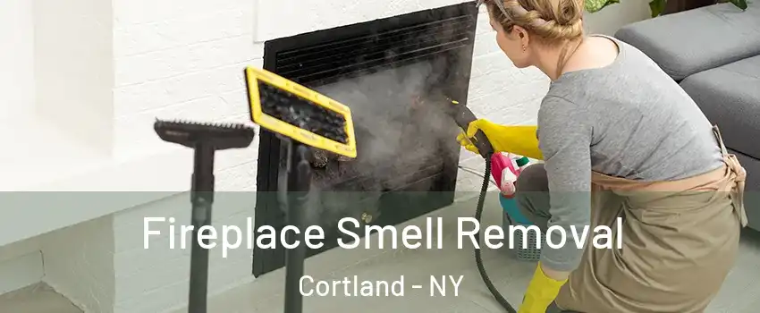  Fireplace Smell Removal Cortland - NY