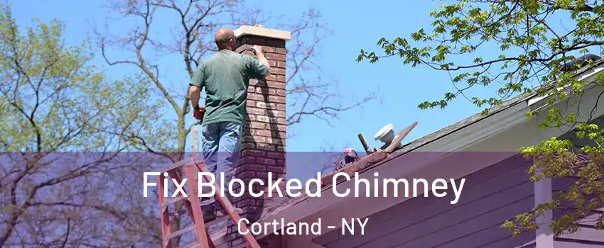  Fix Blocked Chimney Cortland - NY