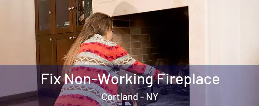  Fix Non-Working Fireplace Cortland - NY