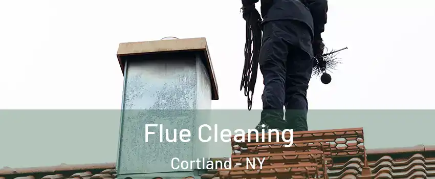 Flue Cleaning Cortland - NY