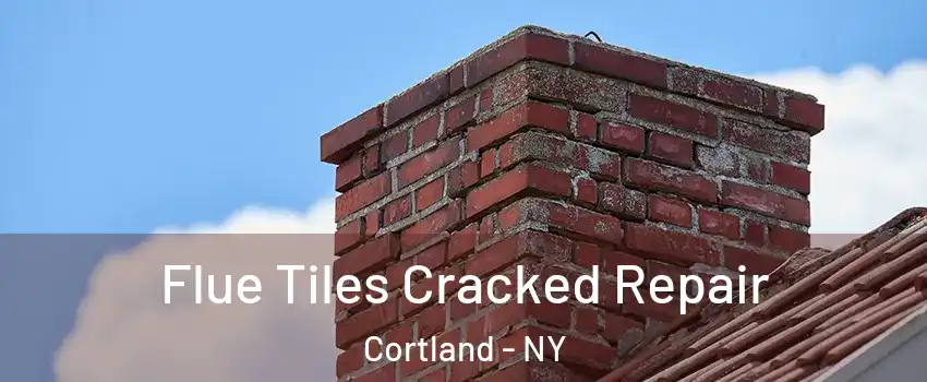  Flue Tiles Cracked Repair Cortland - NY