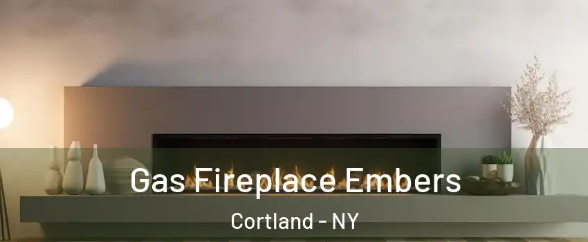  Gas Fireplace Embers Cortland - NY