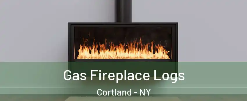  Gas Fireplace Logs Cortland - NY