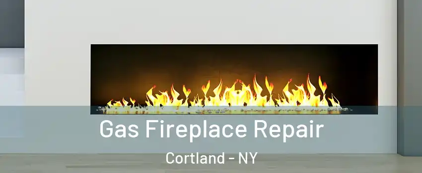  Gas Fireplace Repair Cortland - NY