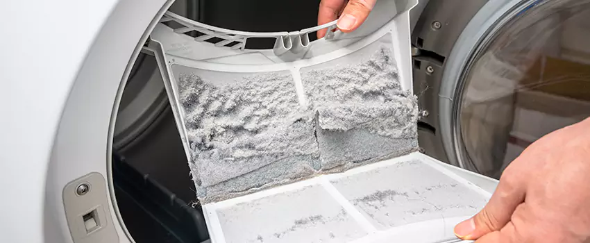 Best Dryer Lint Removal Company in Cortland, New York