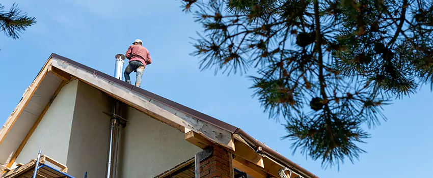 Birds Removal Contractors from Chimney in Cortland, NY