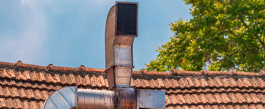 Chimney Blockage Removal in Cortland, New York