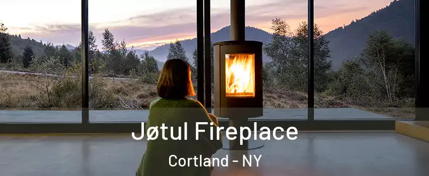  Jøtul Fireplace Cortland - NY