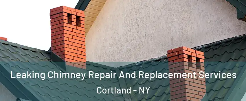  Leaking Chimney Repair And Replacement Services Cortland - NY