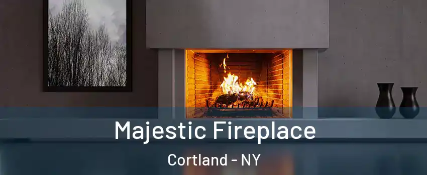  Majestic Fireplace Cortland - NY