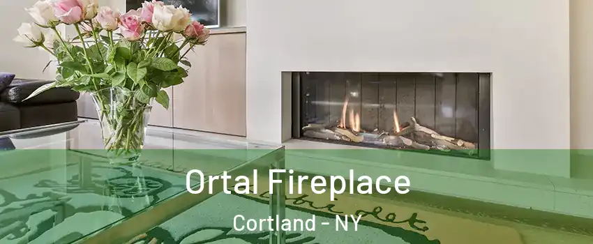  Ortal Fireplace Cortland - NY
