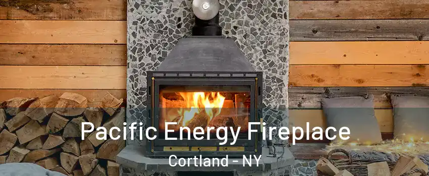 Pacific Energy Fireplace Cortland - NY