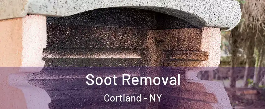  Soot Removal Cortland - NY