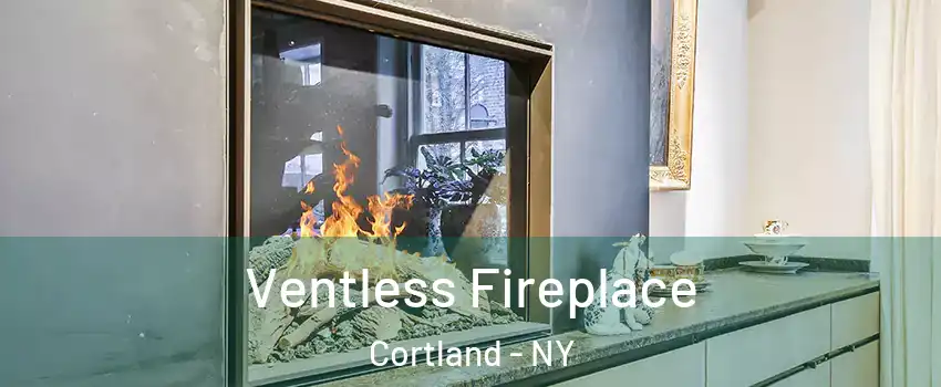  Ventless Fireplace Cortland - NY